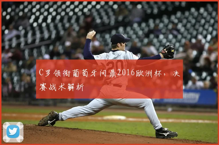 C罗领衔葡萄牙问鼎2016欧洲杯，决赛战术解析